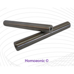 Homoeonic Electrode